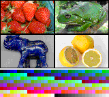 IndexedColorSample (Mosaic) .png