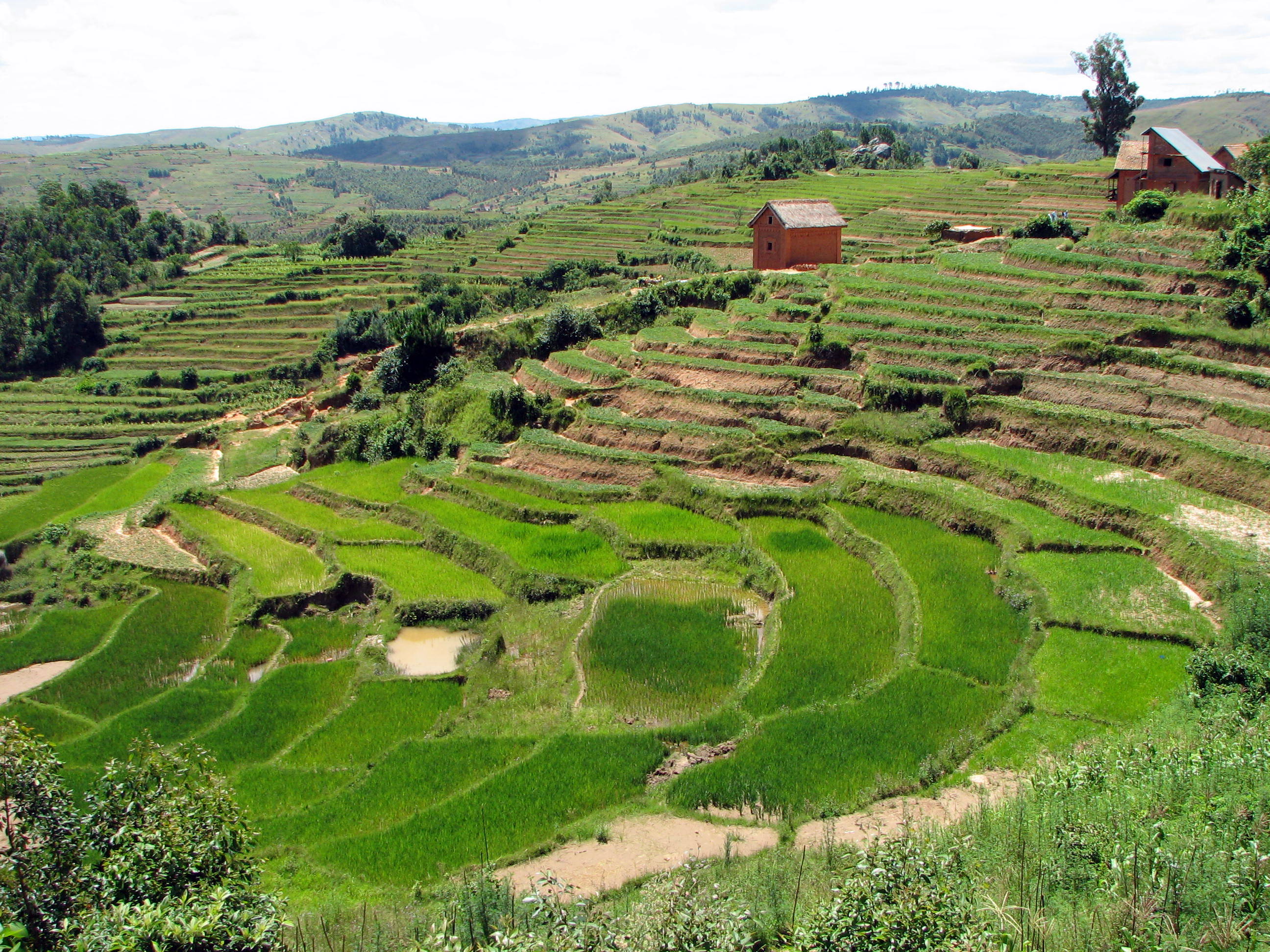 Madagascar Landscape