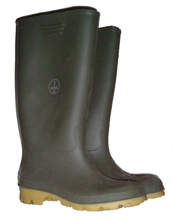 Wellies.jpg