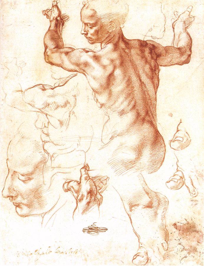 Study for the Libyan Sibyl (1511). 