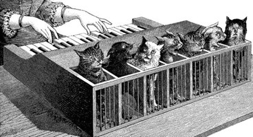 Cat Piano, 1883.