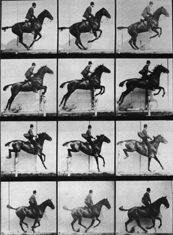 Muybridges Horse Jumping Series