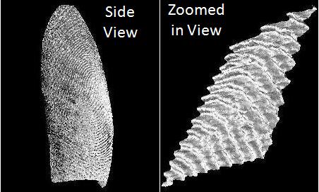 3DFingerprint.jpg