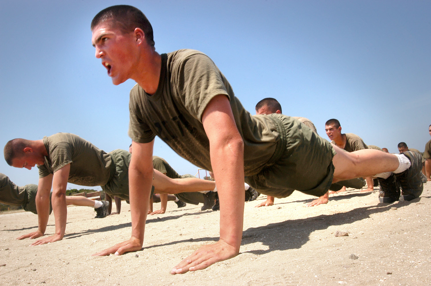 Recruits performing pushups as part of physica...