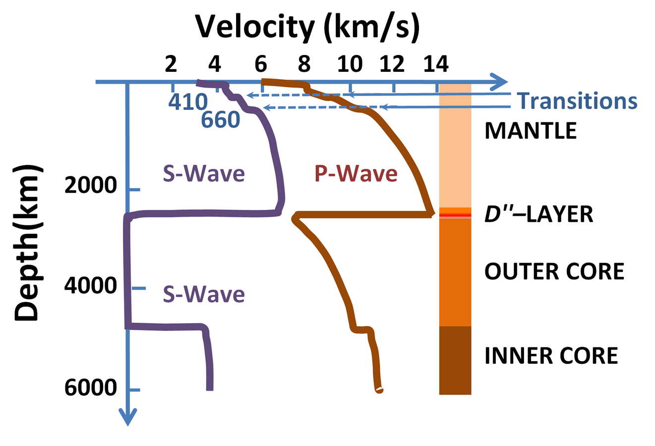 What type of seismic wave is the most destructive?