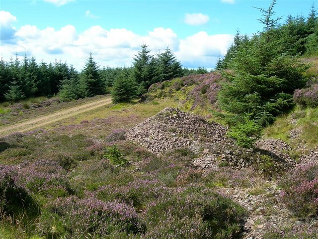 By_Garleffin_Road_-_geograph.org.uk_-_93