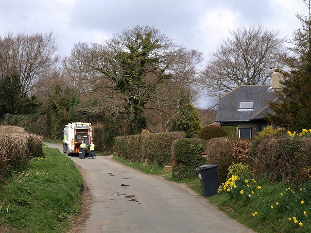 Bin Day