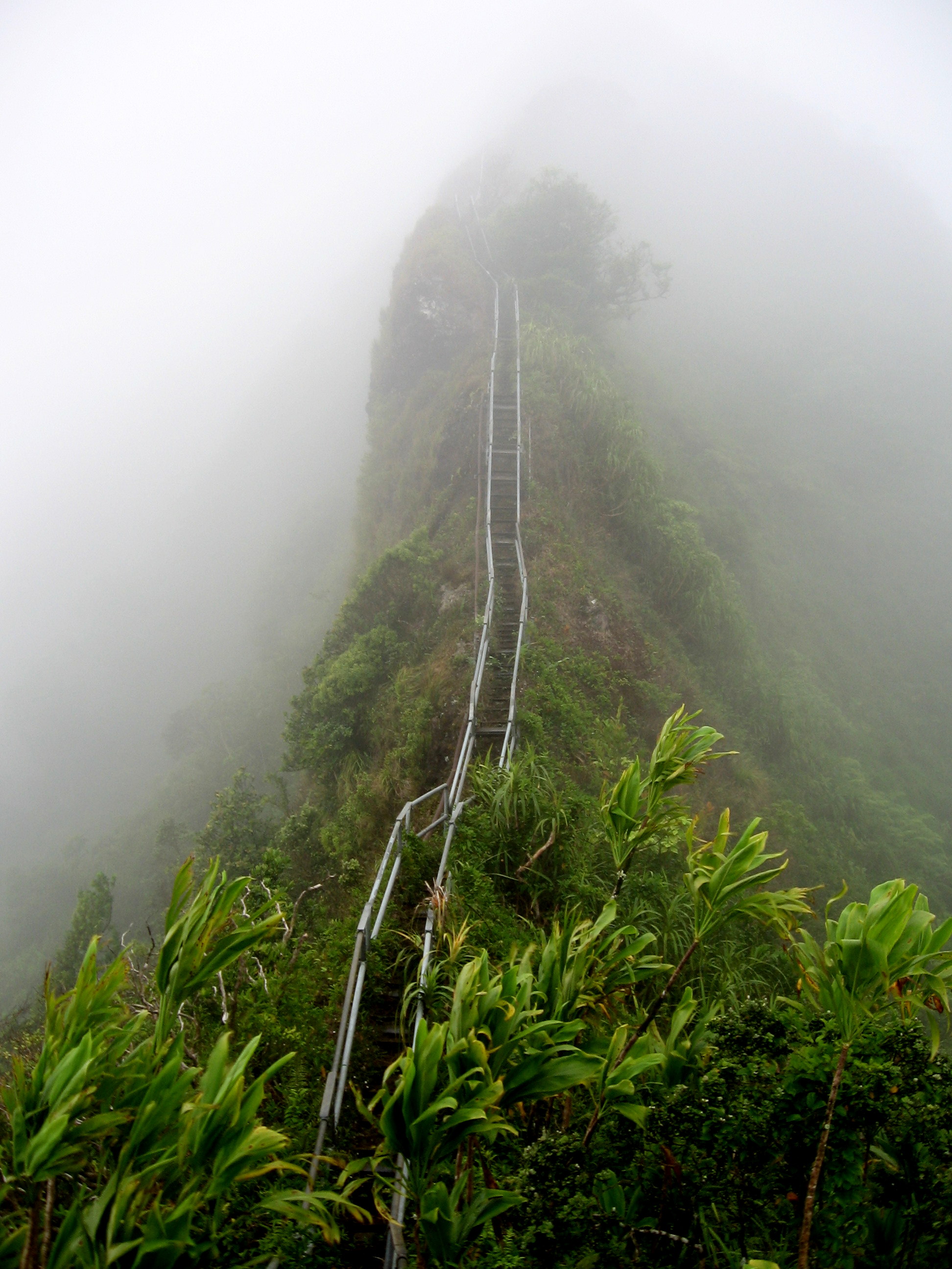 Image of Haiku Ladder, stairs disappear in the mist. Representing that the Kaizen way of small improvements every day will lead to unknown heights.