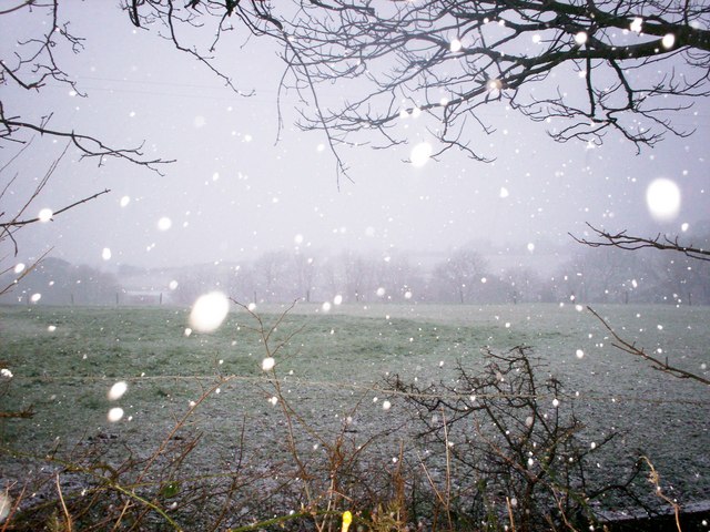 Snowstorm, Mountain Park, Trenewydd Lane, Llanteg - geograph.org.uk - 1653734