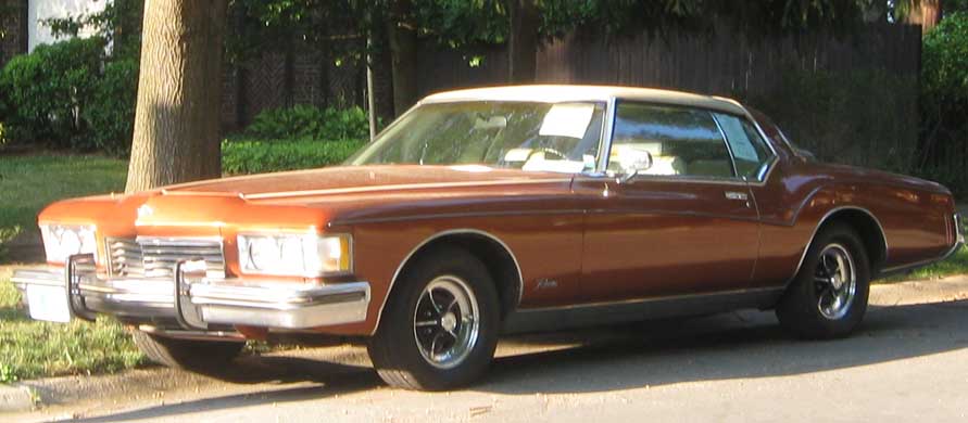 File1973 Buick Riviera 1 06182010jpg