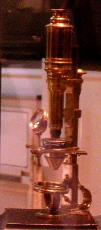 Gambar mini seharga Mikroskop
