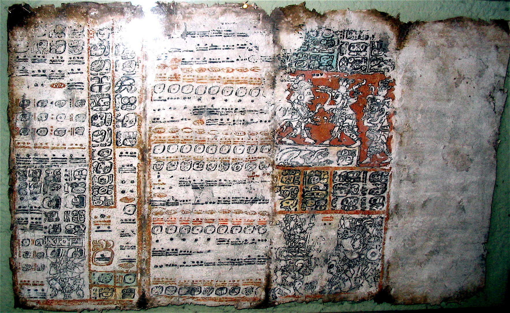 maya codex