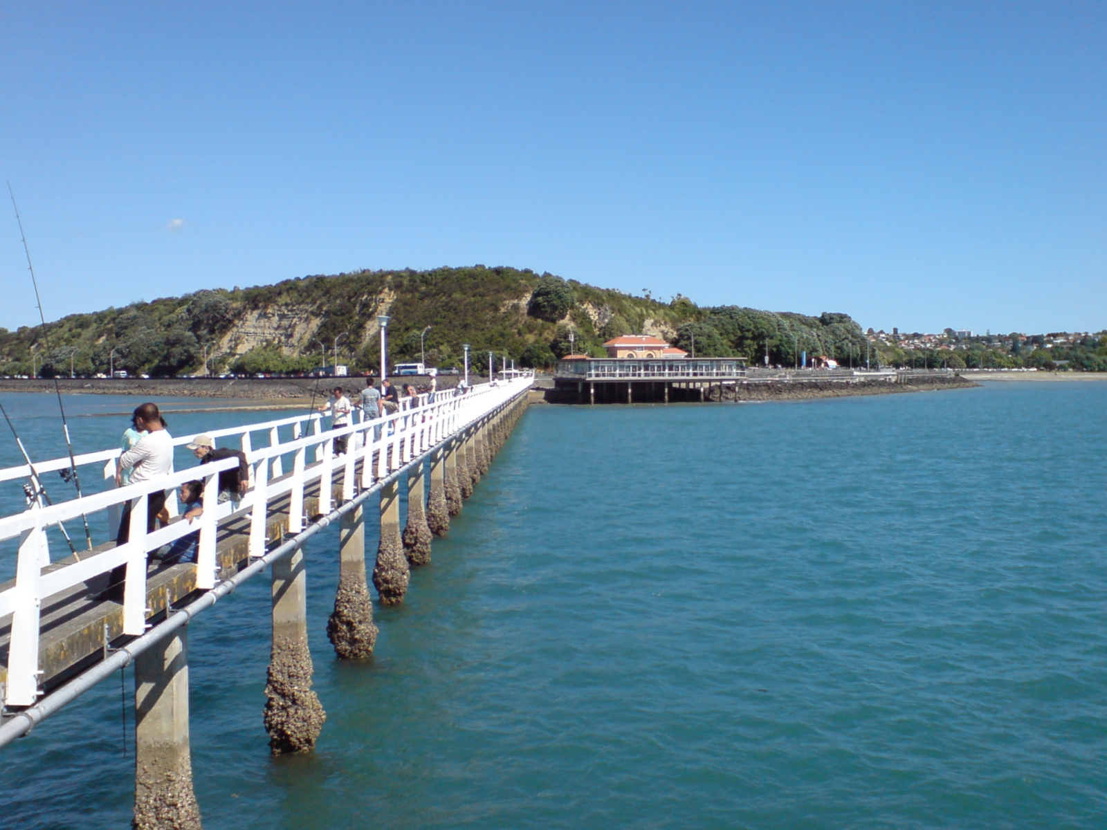 Bastion Point Auckland