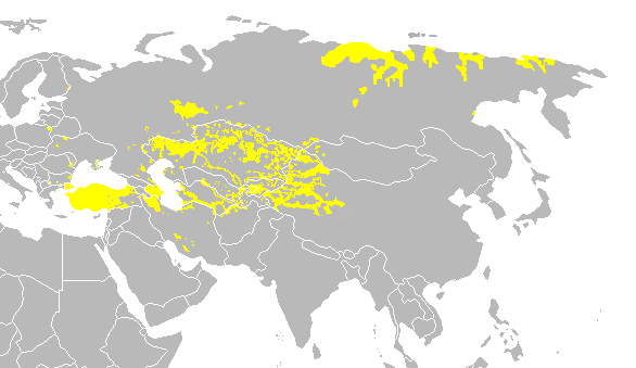 Turkic_languages.png