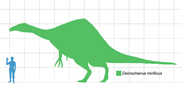 http://upload.wikimedia.org/wikipedia/commons/c/c4/Deinocheirus_scale.png