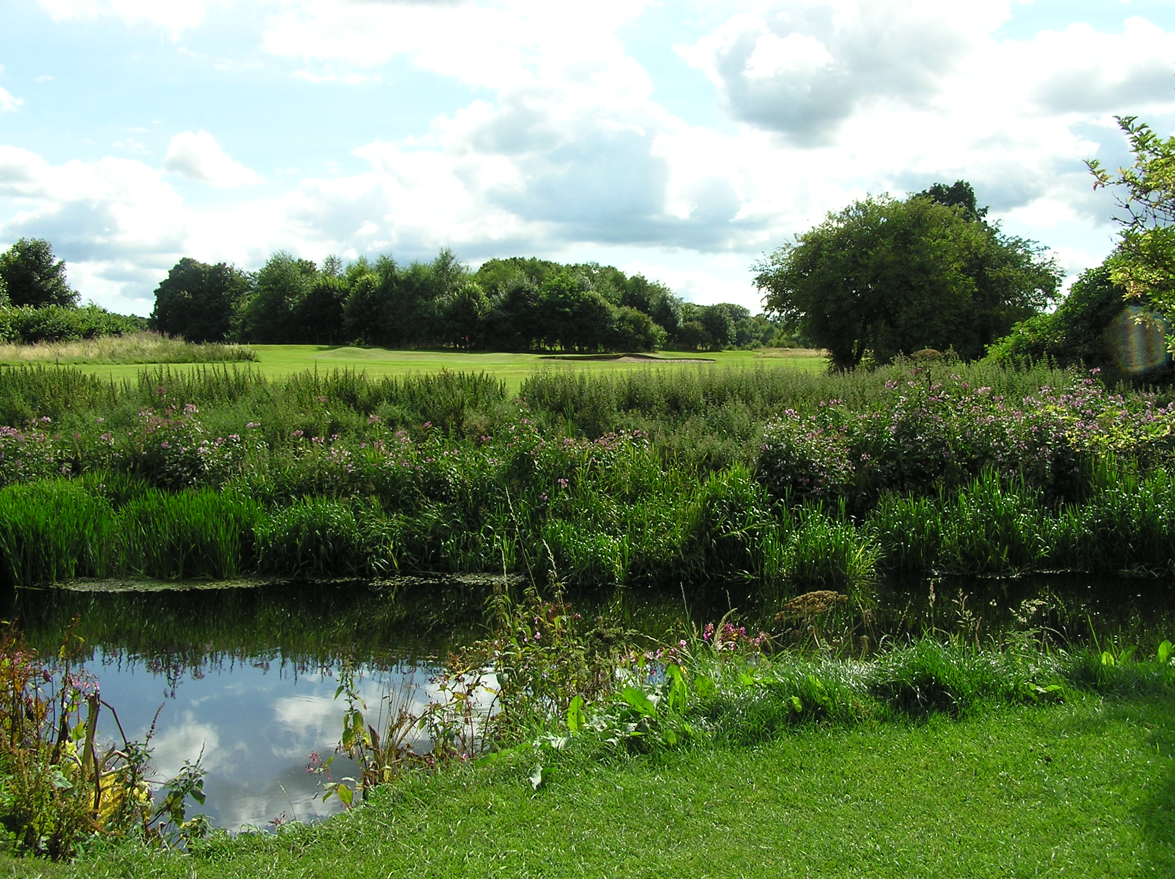 Country Park