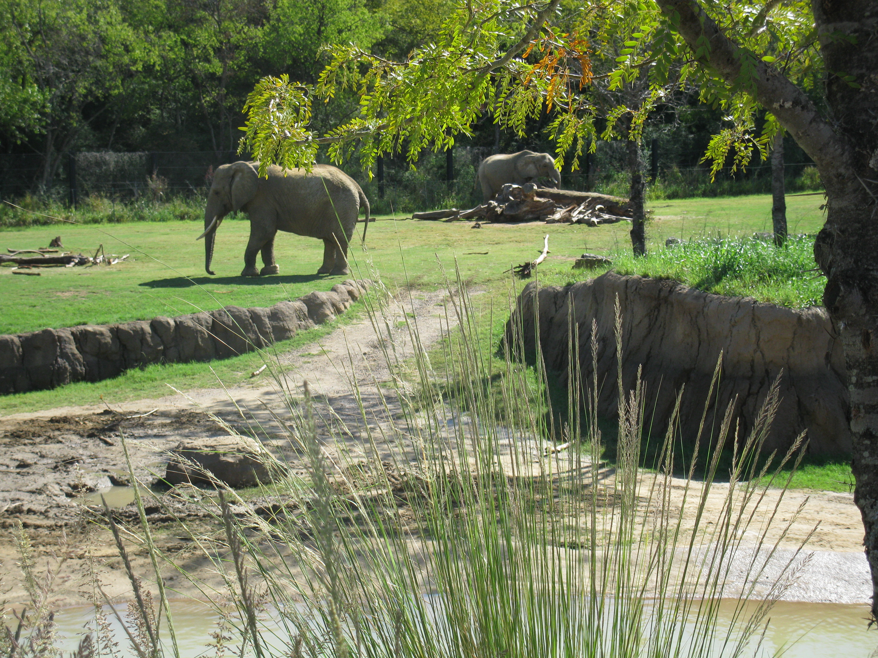 Dallas Zoo