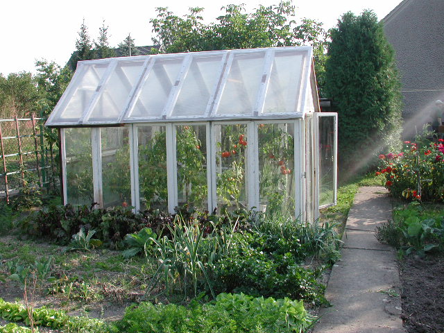 Greenhouse