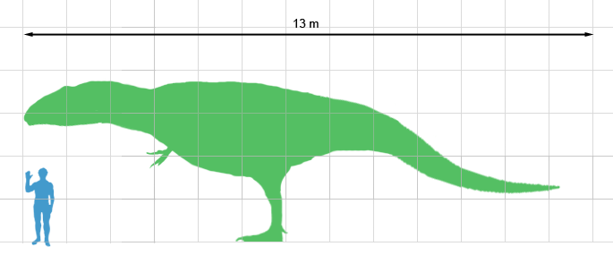 Giganotosaurus size