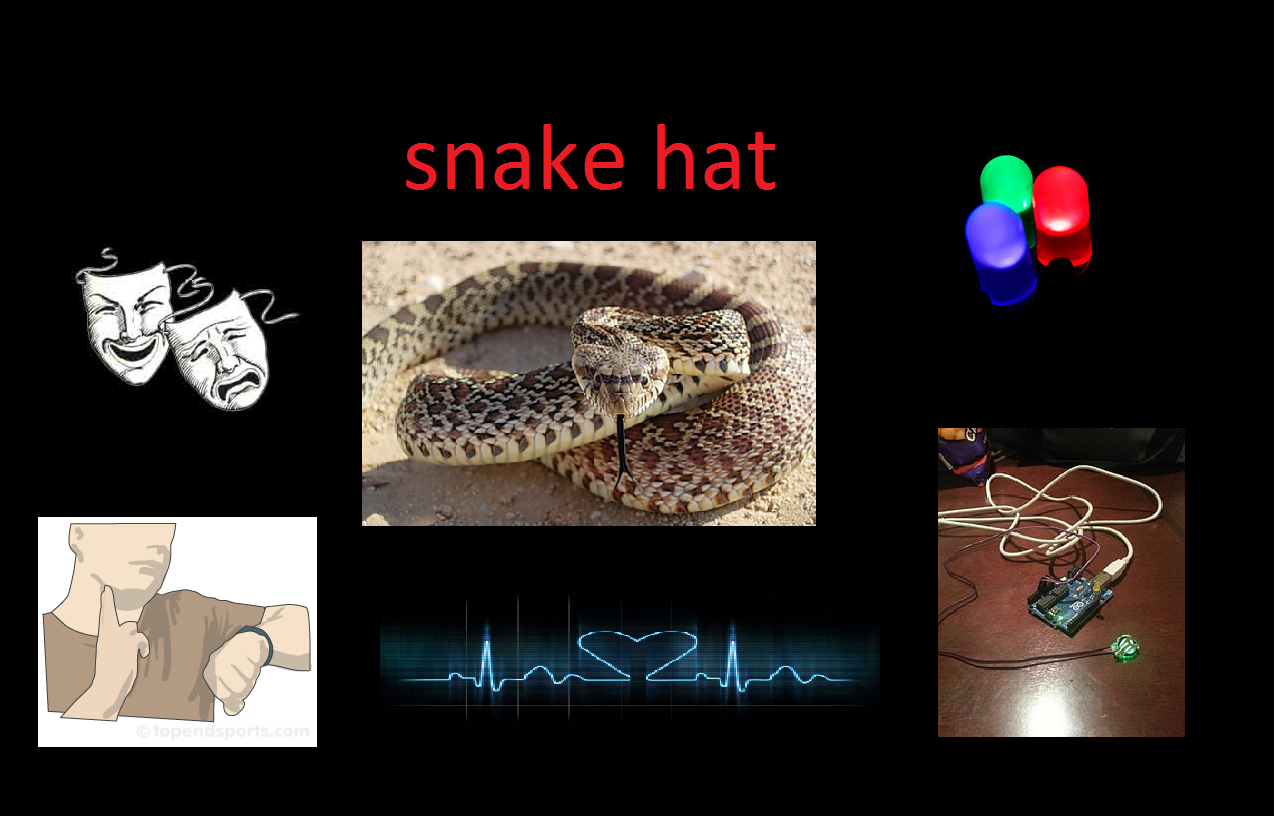 Snake hat poster 2.png