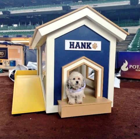 Hank in his new mobile Dog House 2014-04-26 08-27.jpg