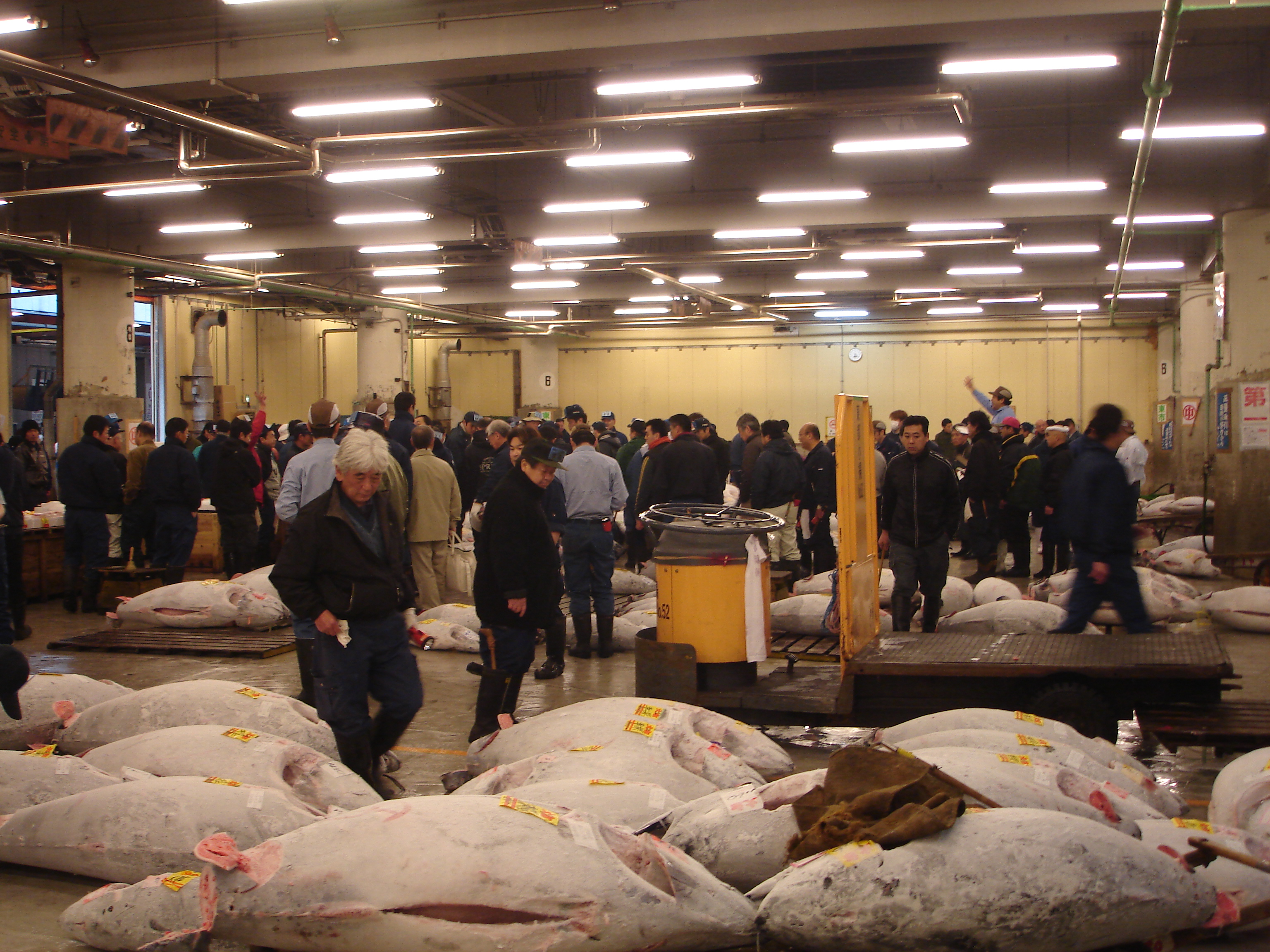 tsukiji market