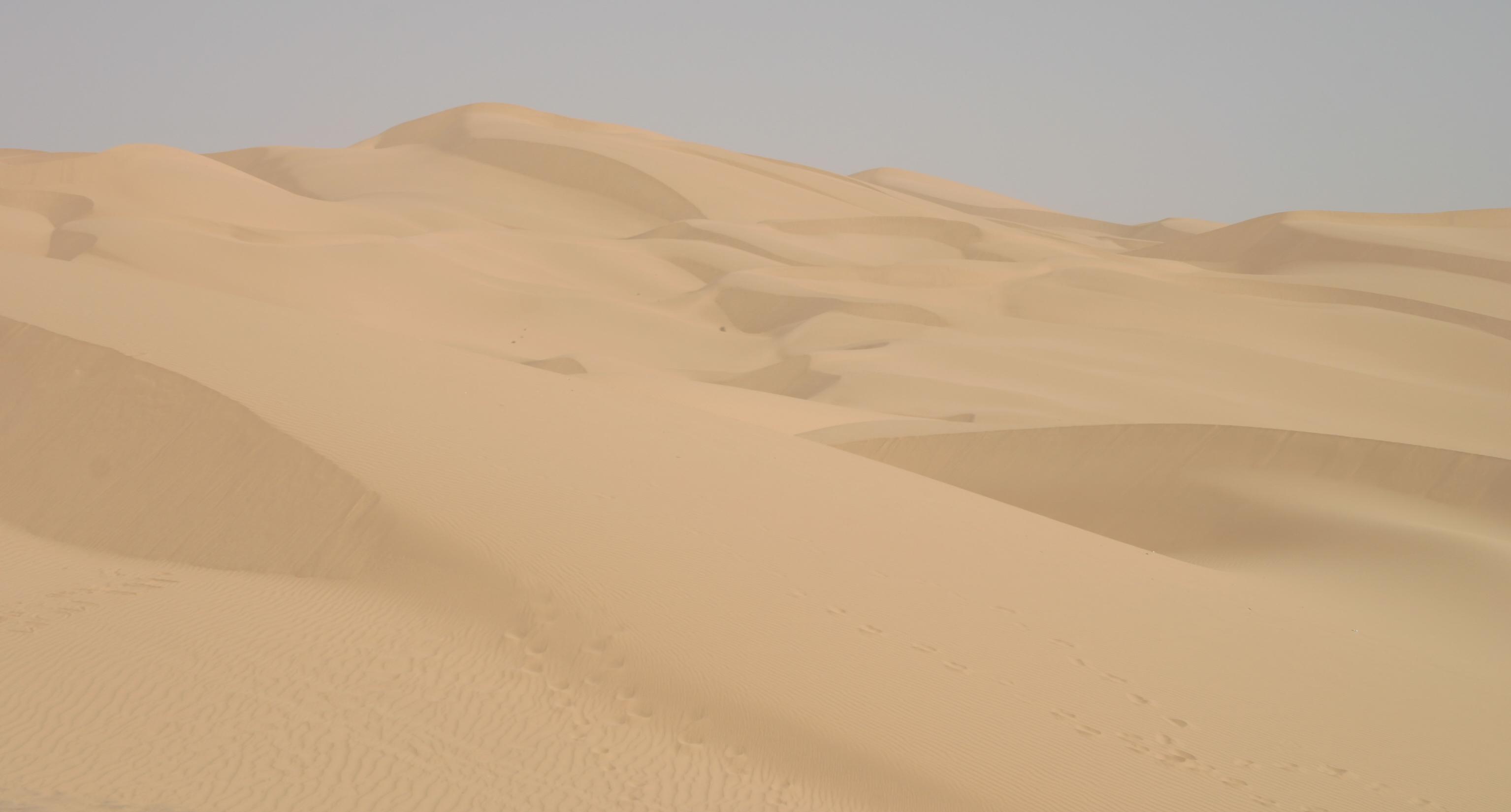 File:Imperial sand dunes.jpg - Wikipedia
