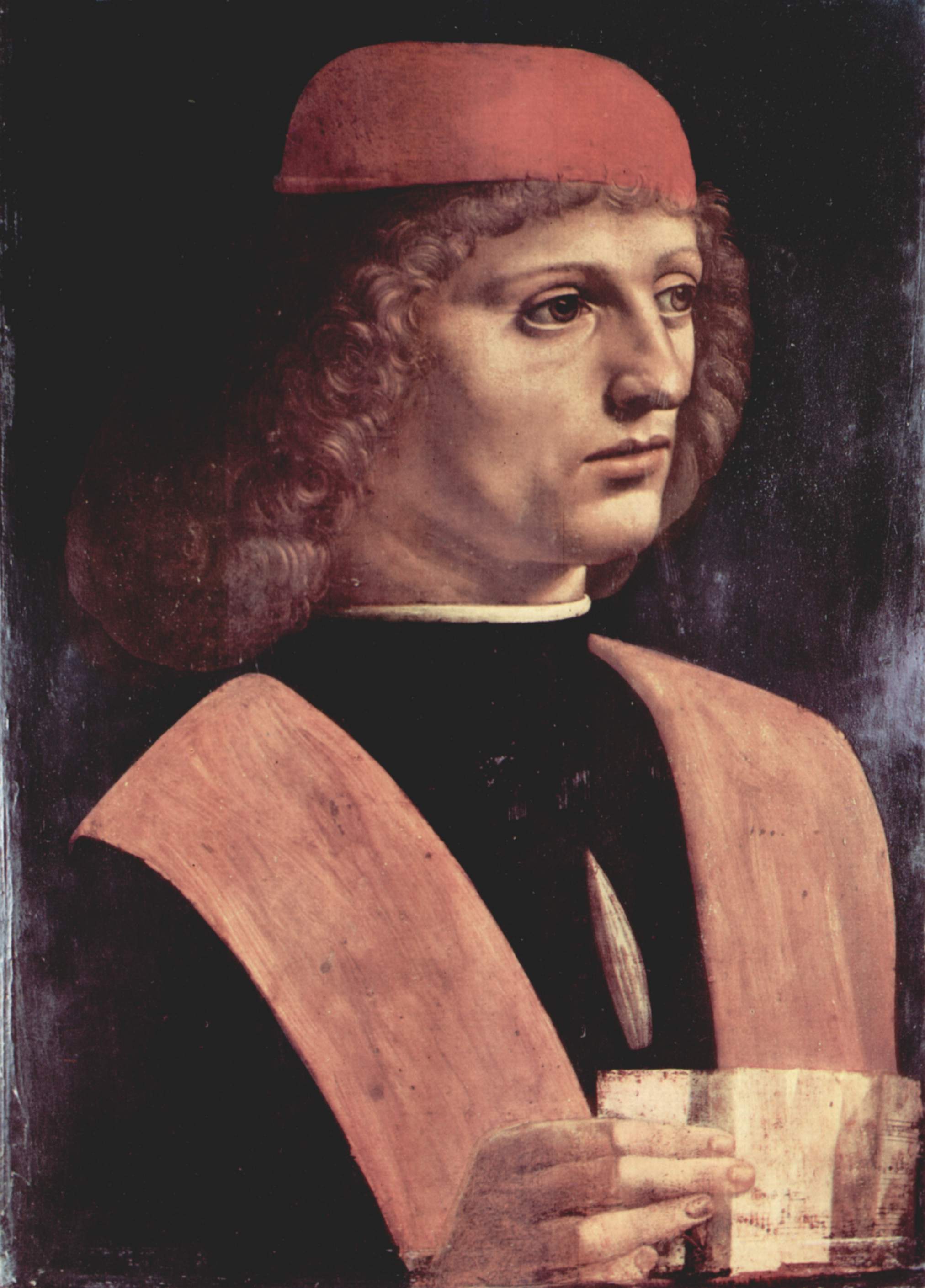 http://upload.wikimedia.org/wikipedia/commons/c/ca/Leonardo_da_Vinci_051.jpg