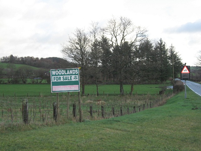 Woodland_For_Sale_-_geograph.org.uk_-_313537.jpg