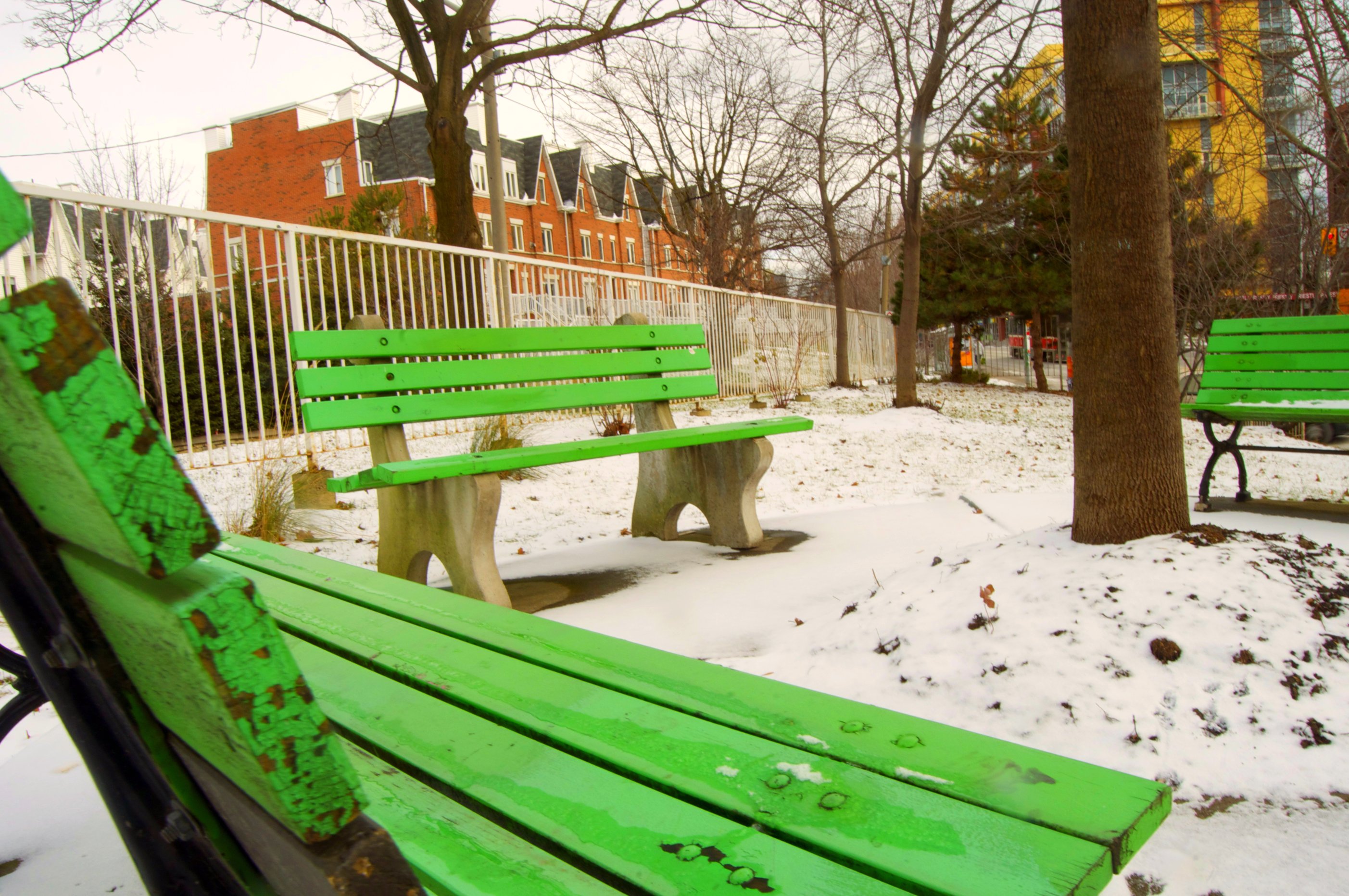 Green Benches