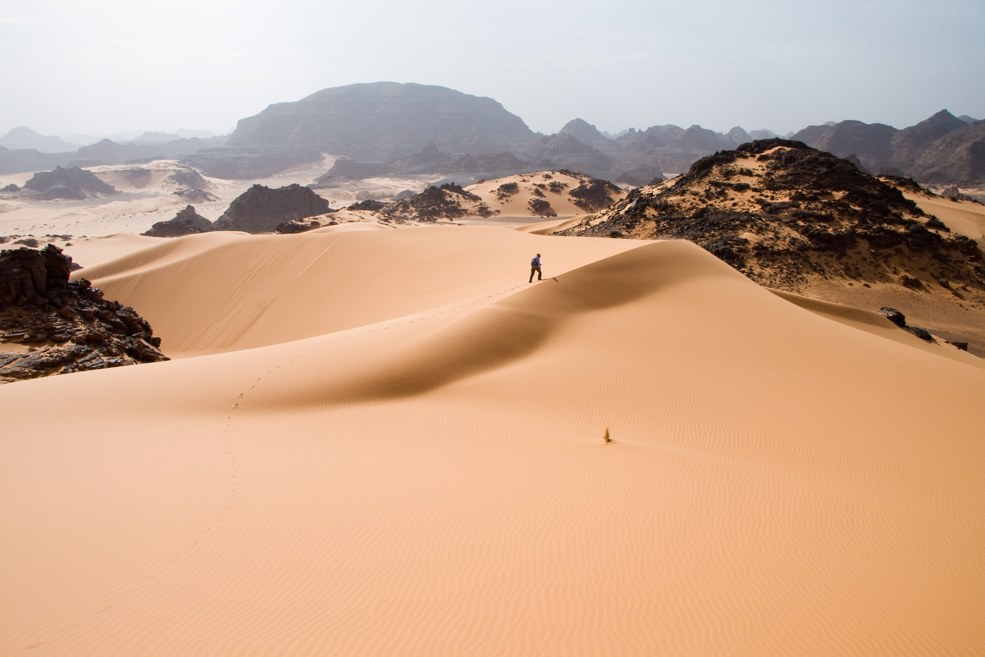 One of the many striking views the Sahara Desert boasts.