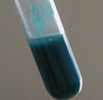 Blue cobalt(II) hydroxide