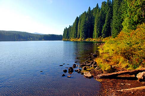 Clear Lake (Linn County, Oregon scenic images) (linnDA0011)