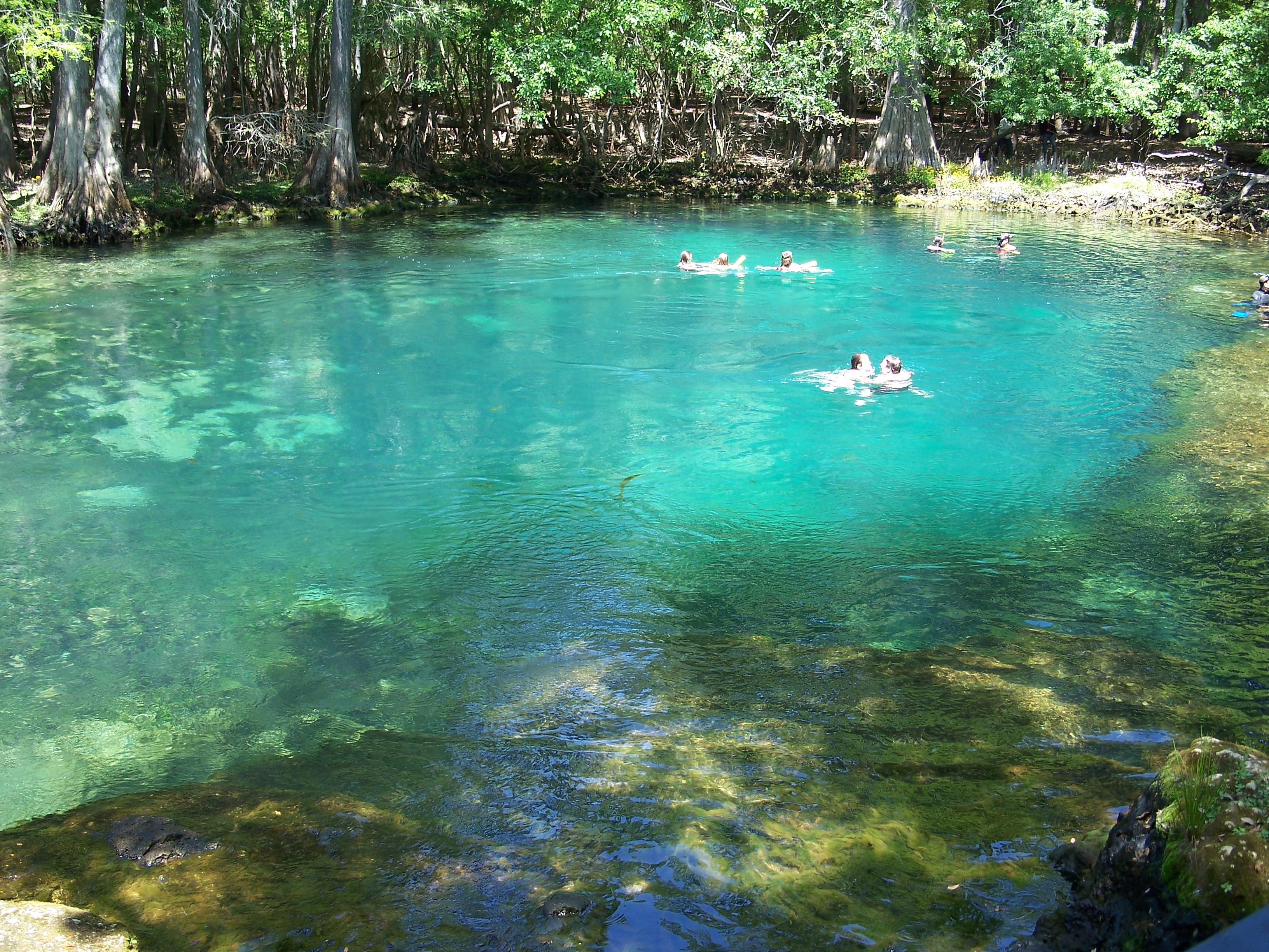 Manatee_Springs_State_Park_Florida_sprin