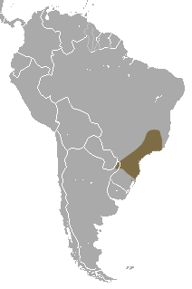 Description de l'image Brazilian Gracile Mouse Opossum area.png.