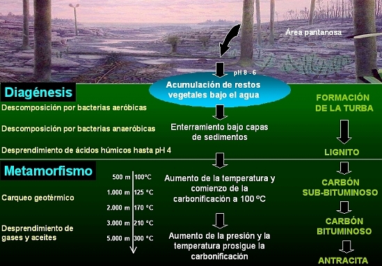 Proceso geológico de carbonificación. Autor: J. Angel Menéndez.