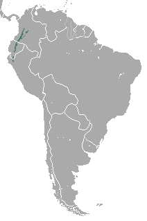 Distribución do Tapirus pichaque.
