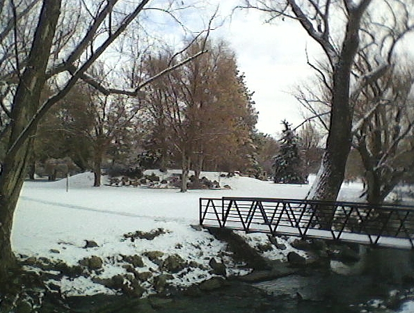 Cottonwood Creek Park