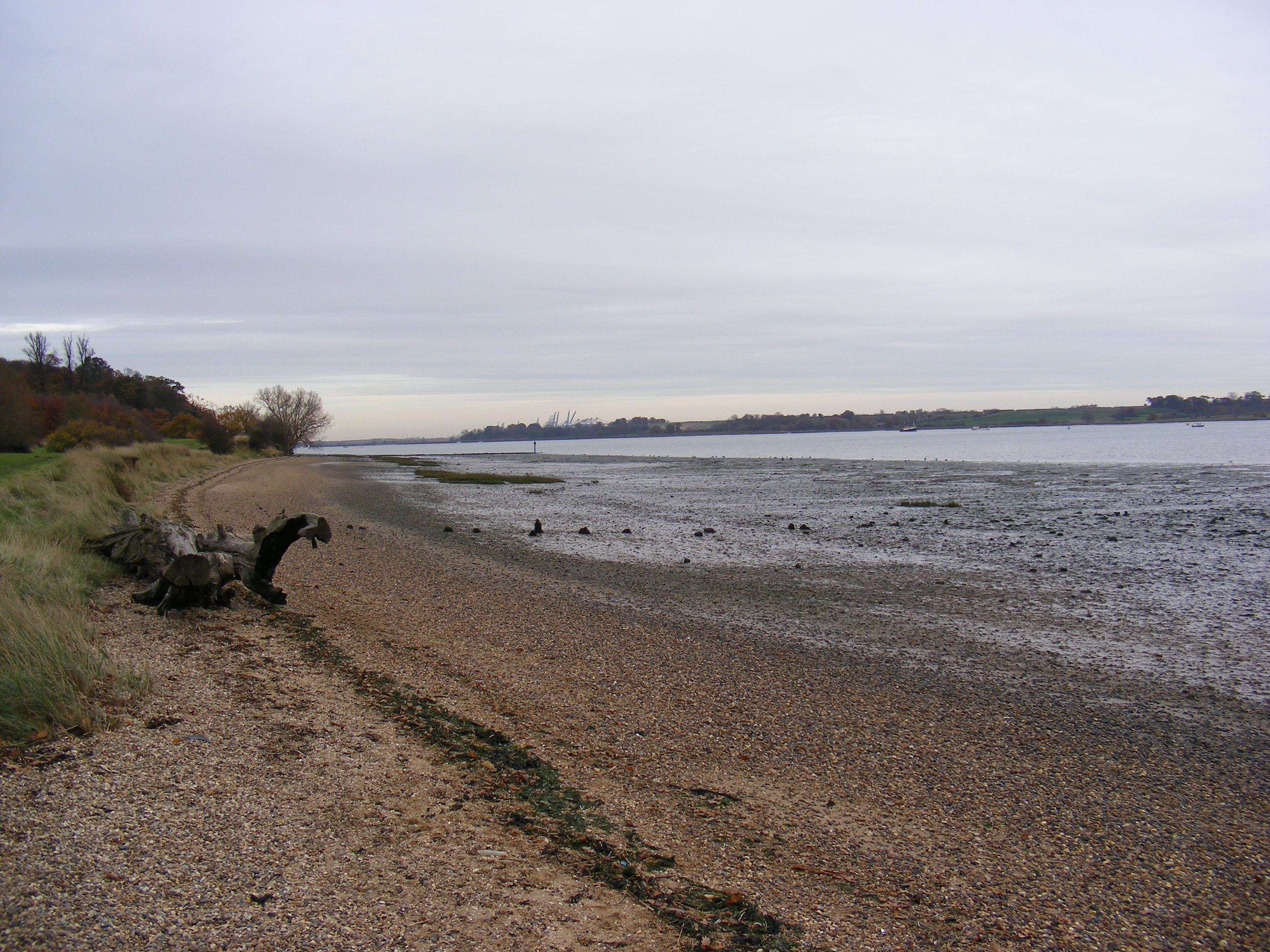 Description River Orwell Shore  geograph.org.uk  1044570.jpg