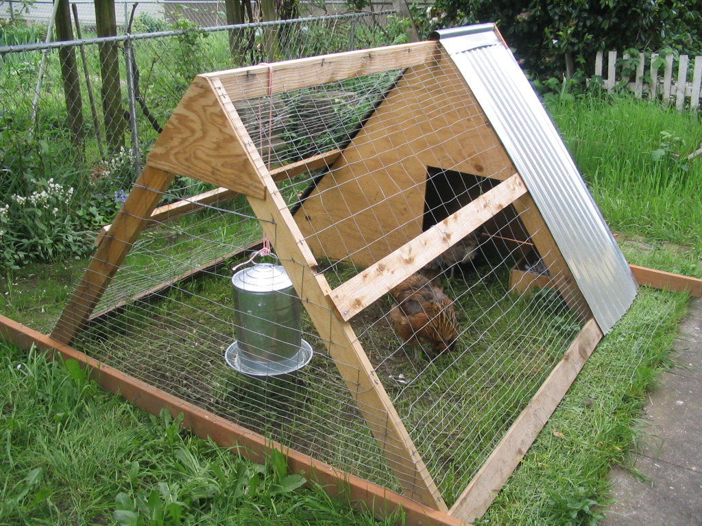 File:A-frame chicken coop, Portland OR.JPG - Wikimedia Commons