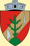 Wappen von Borș