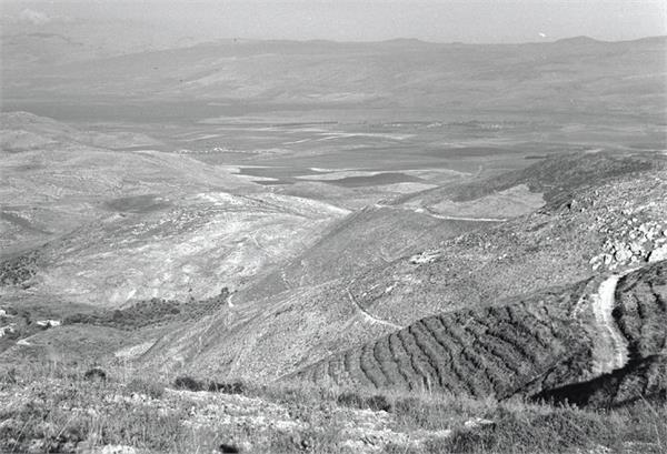 ביריה - מראה