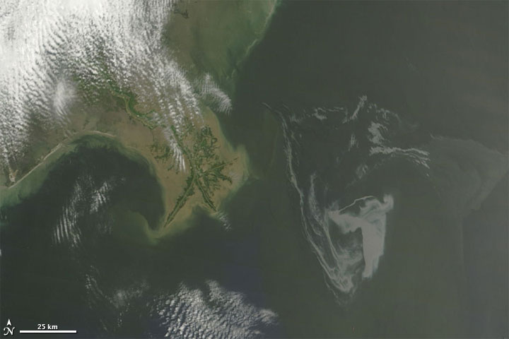 Ölteppich im Golf von Mexiko