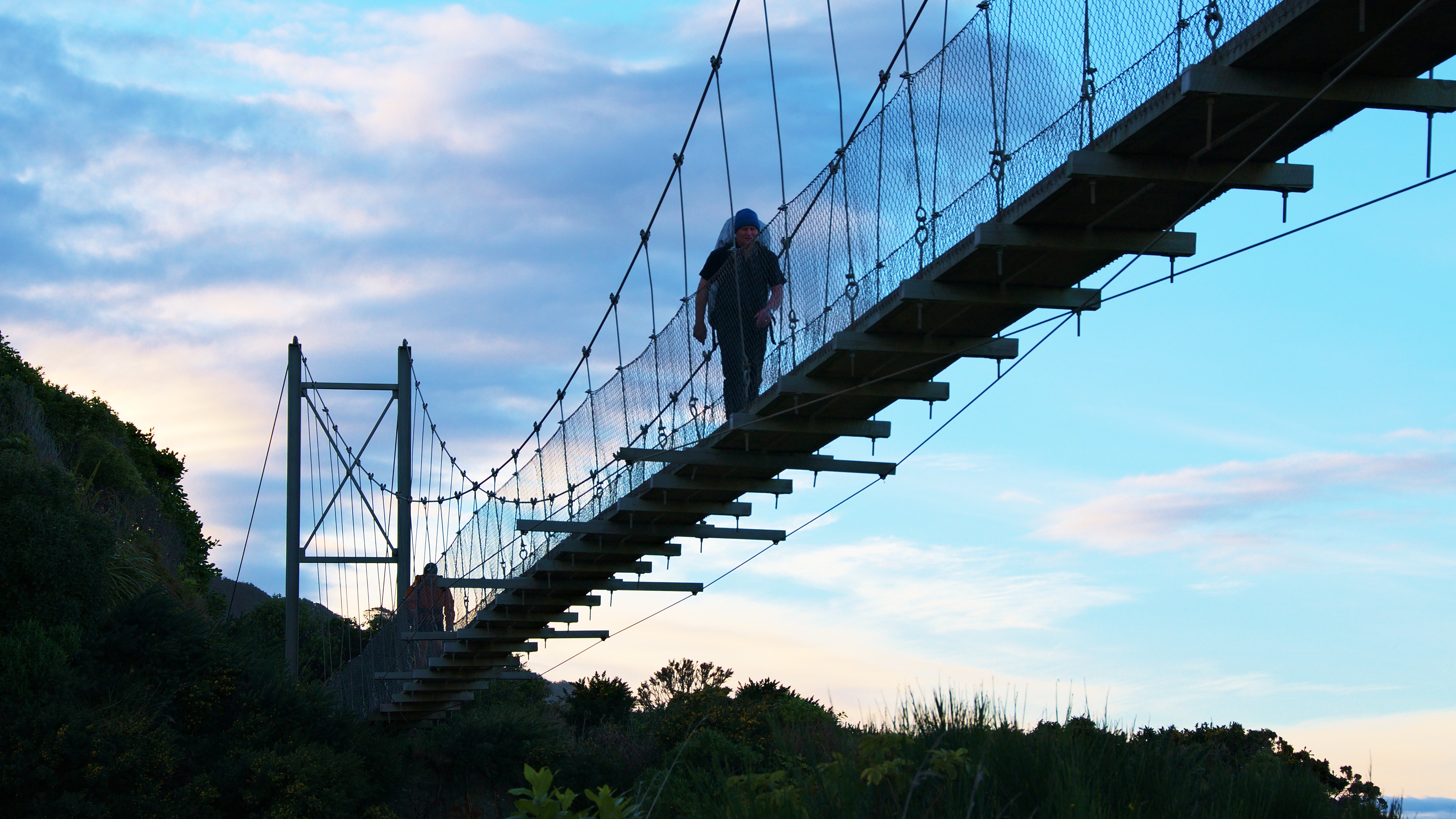 Bohol swinging bridge