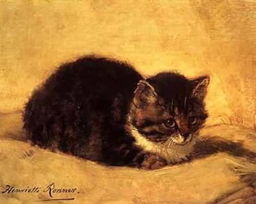 Henriette-Ronner-Knip-Cat