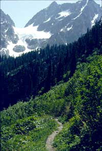 Wanderweg zum Cascade Pass