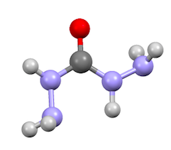 碳酰肼的球棍模型
