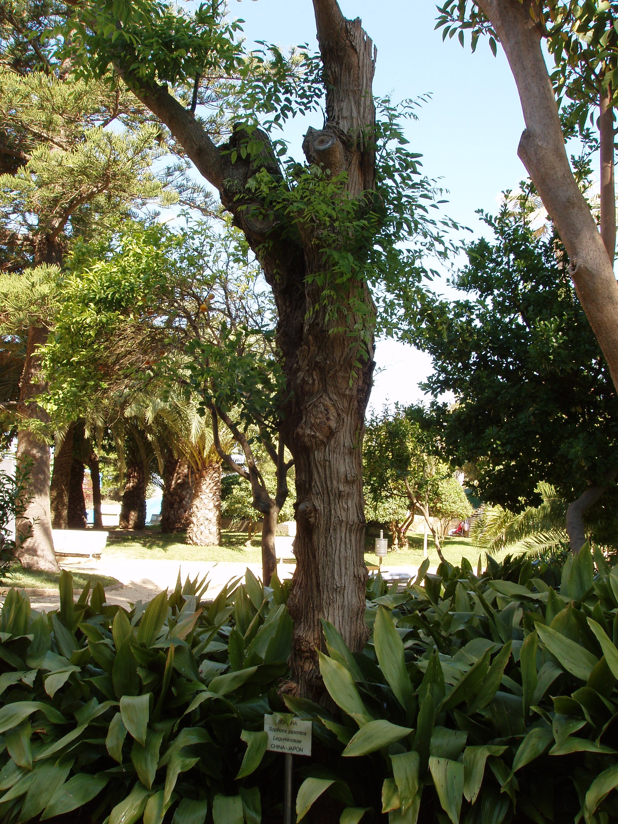 parque genoves cadiz