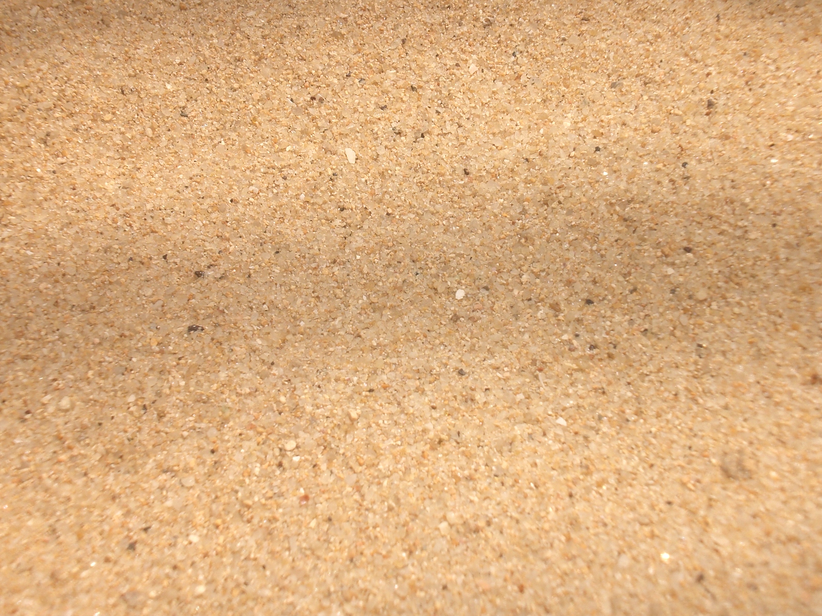 HK_Cheung_Chau_Tung_Wan_Beach_Sand_2.JPG