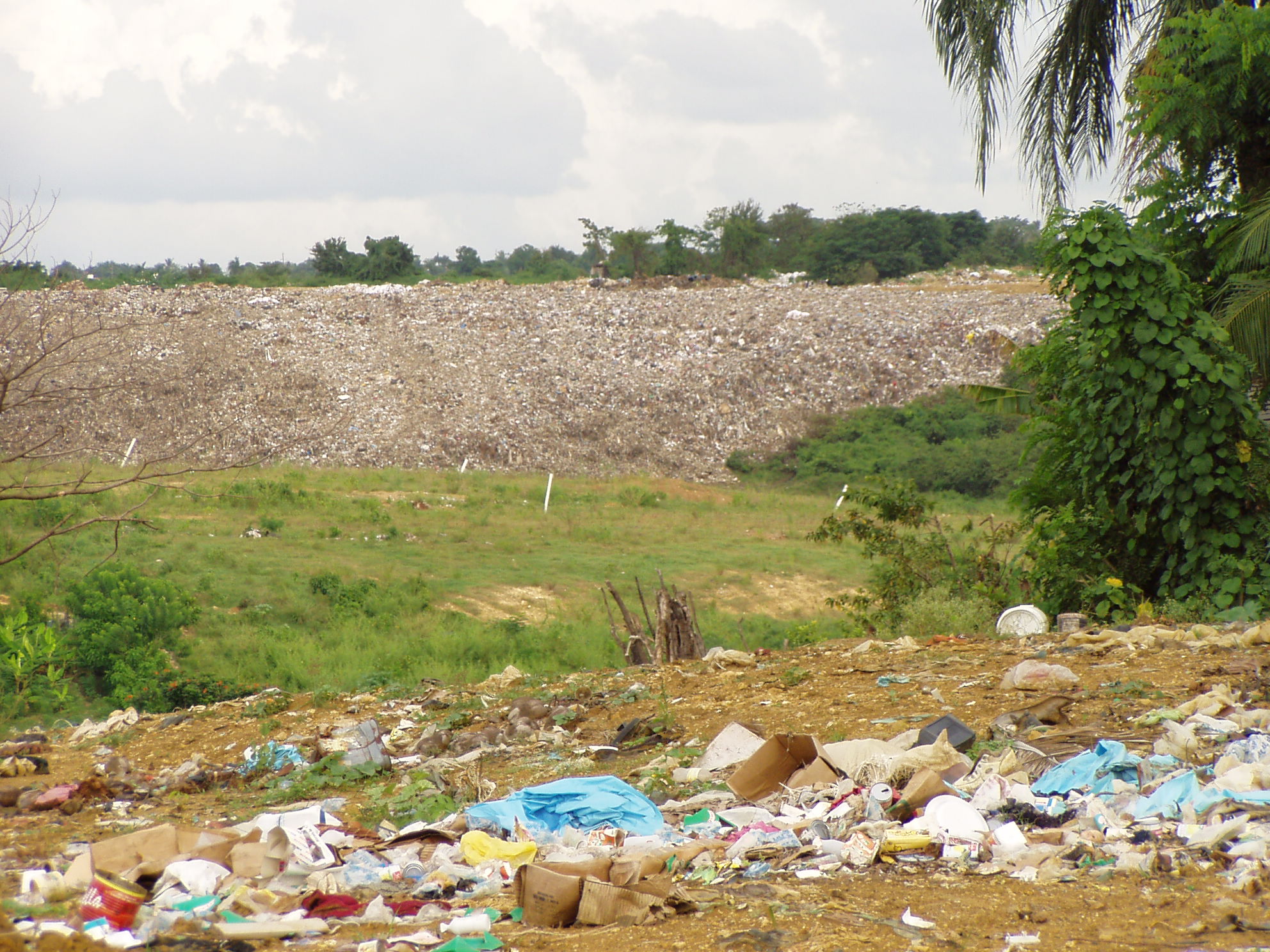 Guaricano, Santo Domingo, 2006 (wikimedia.org)